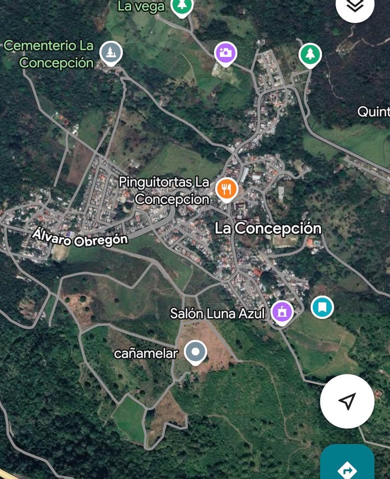 SE VENDE TERRENO CAMPESTRE DE 5,105 m2 a 40 MINUTOS DE XALAPA VERACRUZ